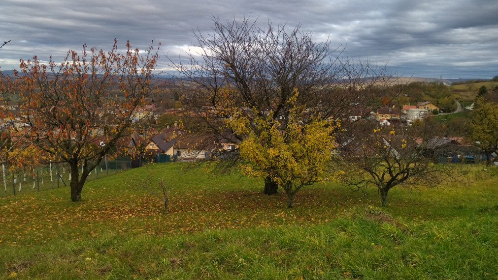 Na predaj krásny rozľahlý pozemok pod lesom, Cerová.