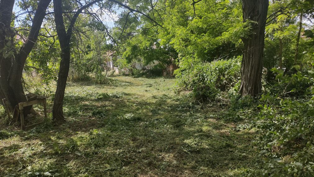 Na predaj rodinný dom s veľkým pozemkom Lúčnica nad Žitavou - Vajka