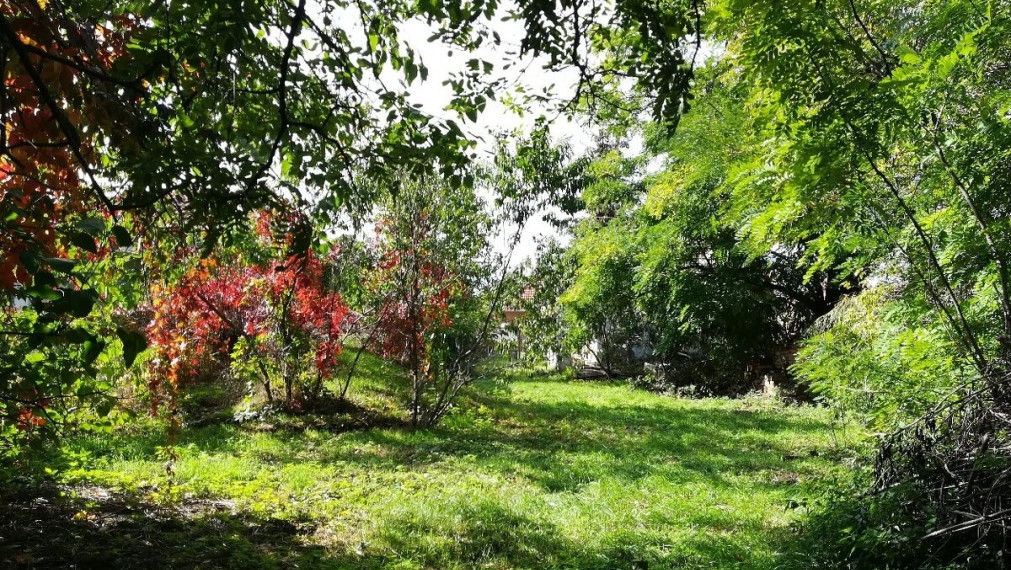 super cena!Na predaj stavebný pozemok so sieťami Lúčnica nad Žitavou - Vajka