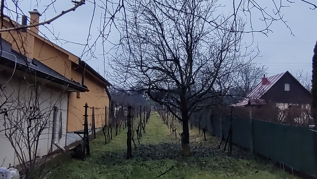 Na predaj pozemok na výstavbu viničného domu alebo na bývanie