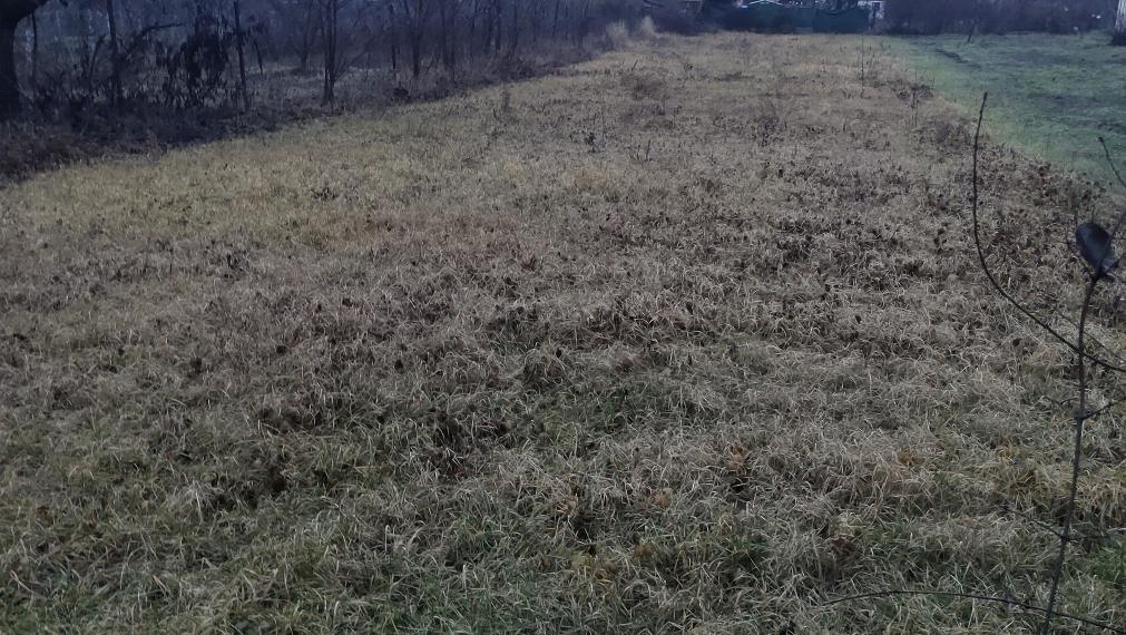 Na predaj pozemok na výstavbu viničného domu alebo na bývanie.