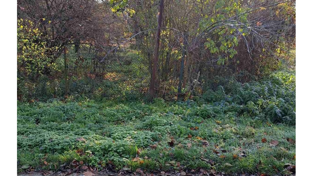 Na predaj stavebný pozemok Podhorany