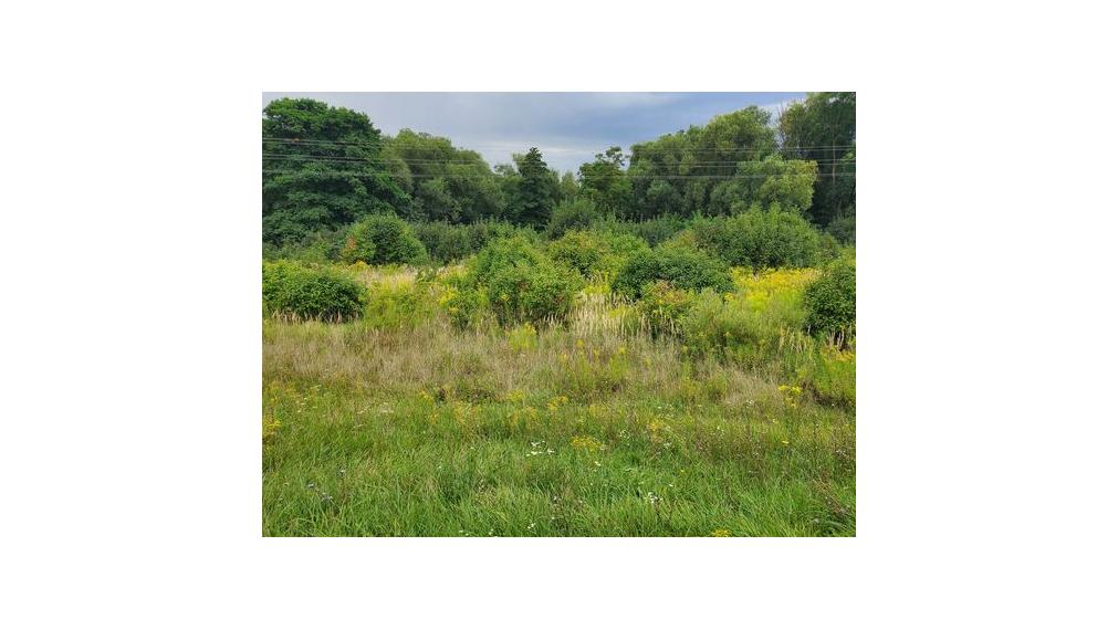 Ideálny pozemok na podnikanie pri OC OPTIMA