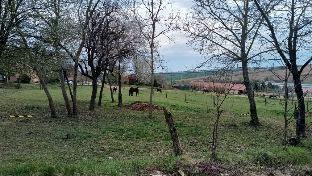 top cena!Na predaj stavebný pozemok v malebnej obci Hosťová