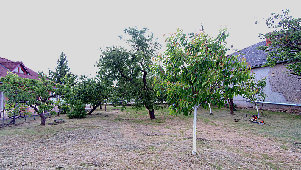Slnečný a veľký pozemok v pokojnej obci Kašov