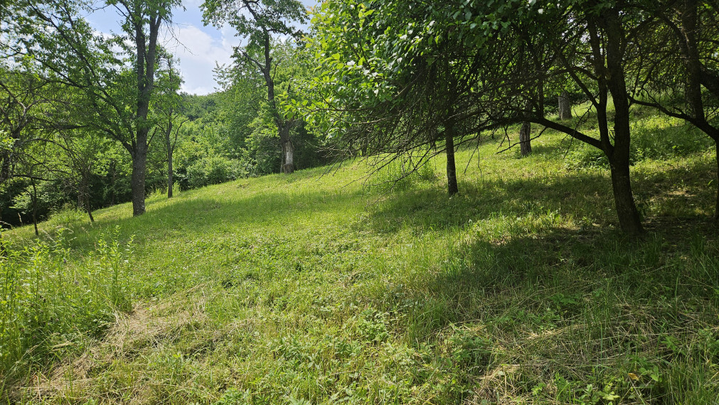 Na predaj stavebný pozemok v lese a napriek tomu len 10 minút autom od centra mesta