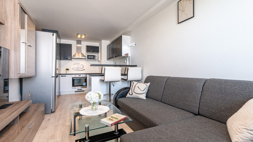 REZERVOVANÝ 1,5 IZBOVÝ BYT V MESTSKEJ ČASTI ŠACA