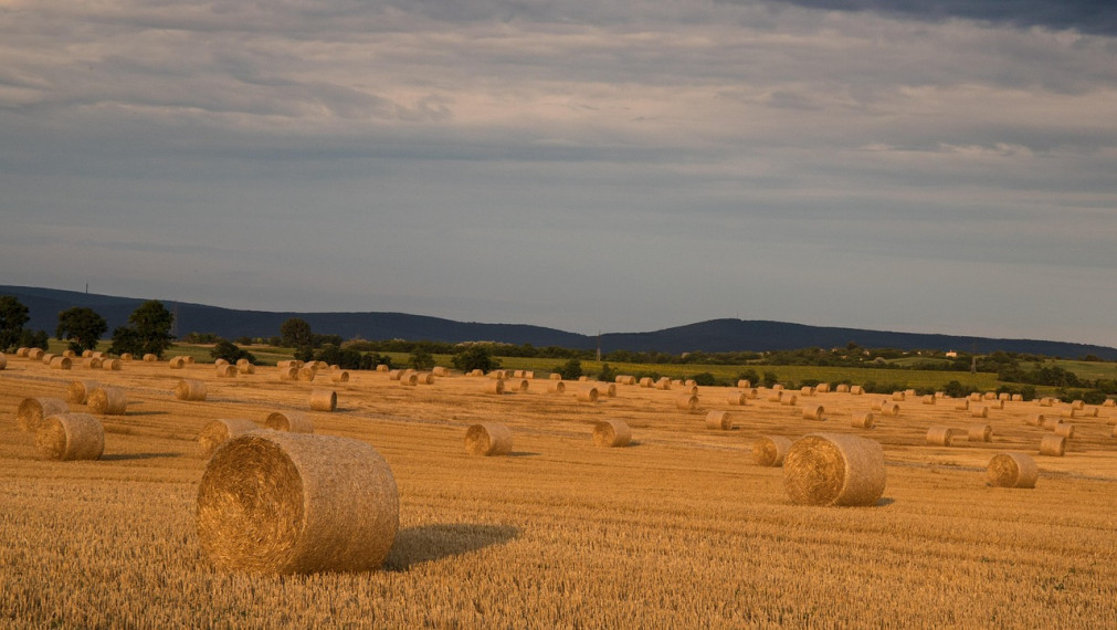 Na predaj investičný pozemok Veľký Lapáš - len 10,50 eur za m2