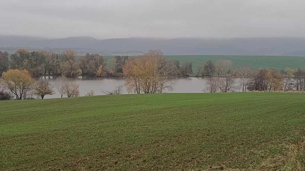 Na predaj pozemok na výstavbu aj dvoch viničných chatiek v obci Kozárovce