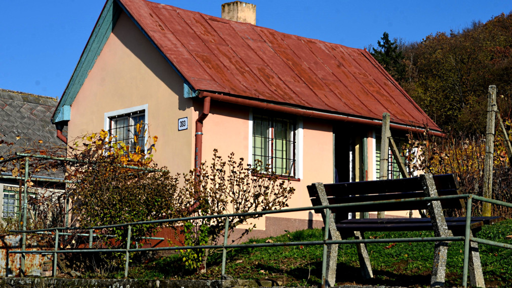 Záhradný domček s vinohradom