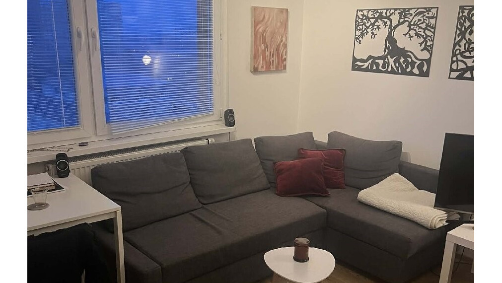 Na prenájom 1 izbový zariadený byt, ul. Clementisa, Trnava