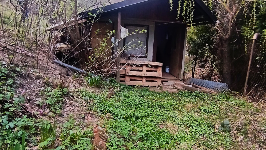 Na predaj pekná záhrada s chatkou, Nižný Klátov, Košice  - okolie