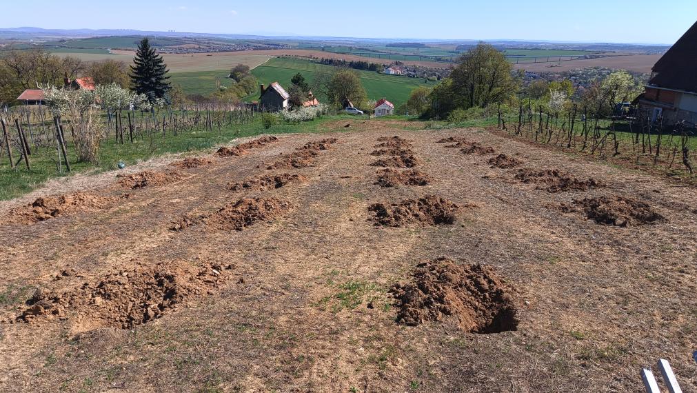 Na predaj rekreačný pozemok v malebnej obci Kolíňany