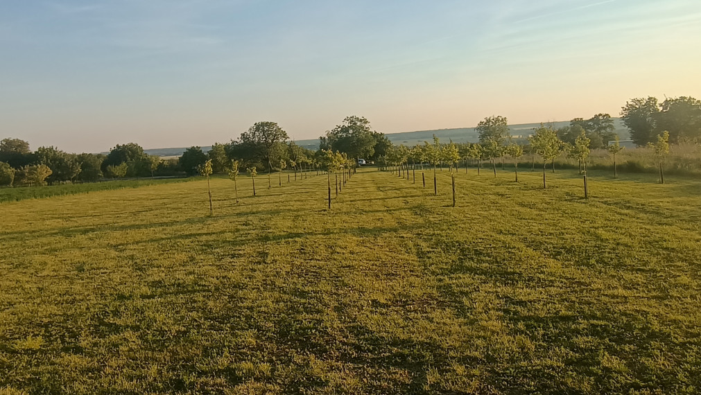 EXKLUZÍVNE na predaj luxusný pozemok 3802 m2 30 m široký v Čechynciach na rekreačné účely alebo trvalé bývanie