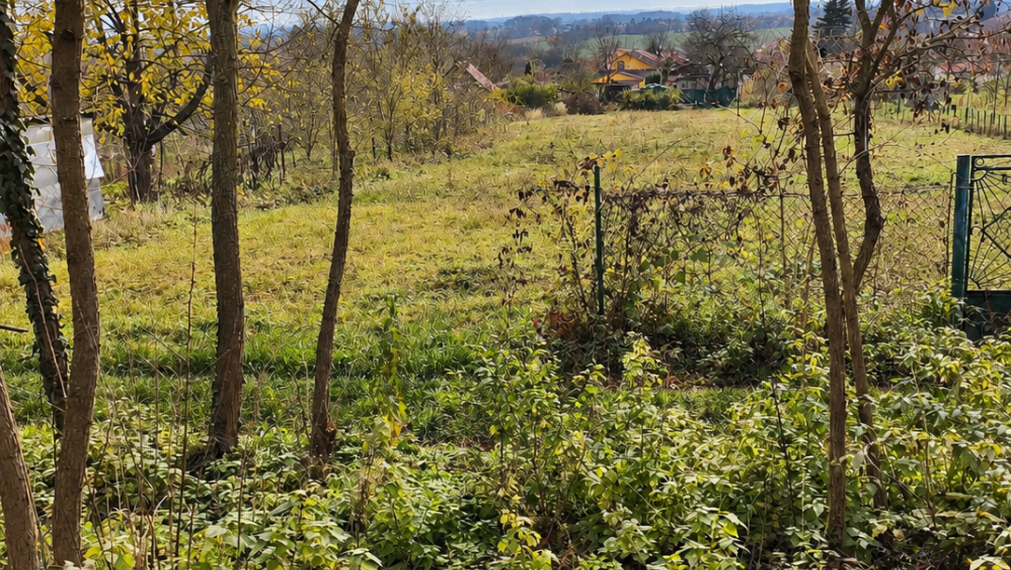 Na predaj pozemok vo vinoradníckej oblasti na rekreáciu alebo bývanie v obci Branč