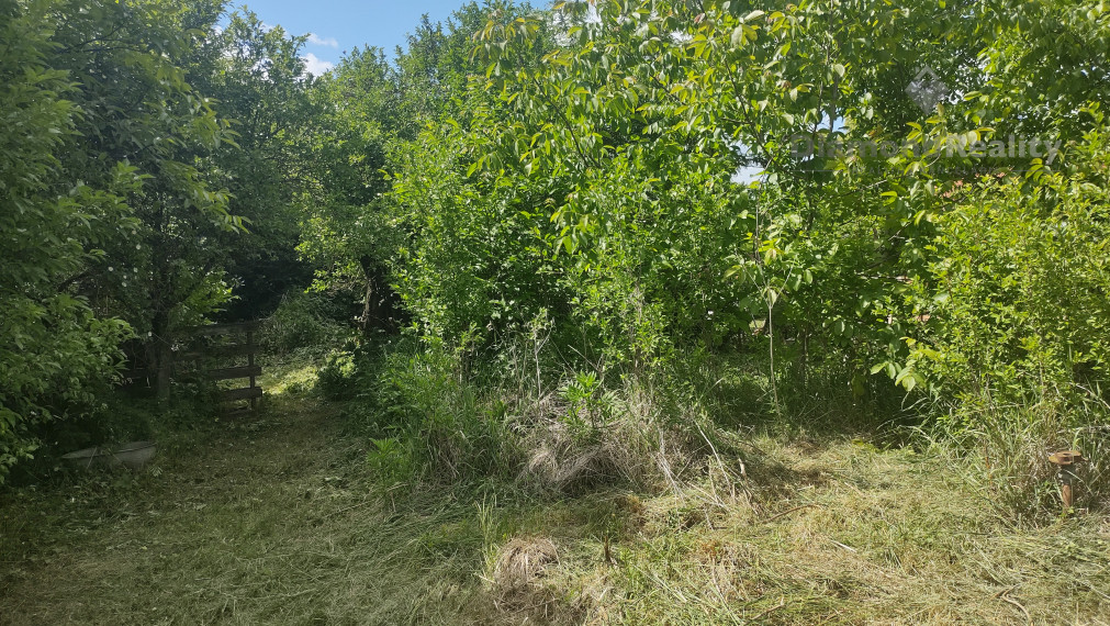 Na predaj rodinný dom s veľkým pozemkom Lúčnica nad Žitavou - Vajka
