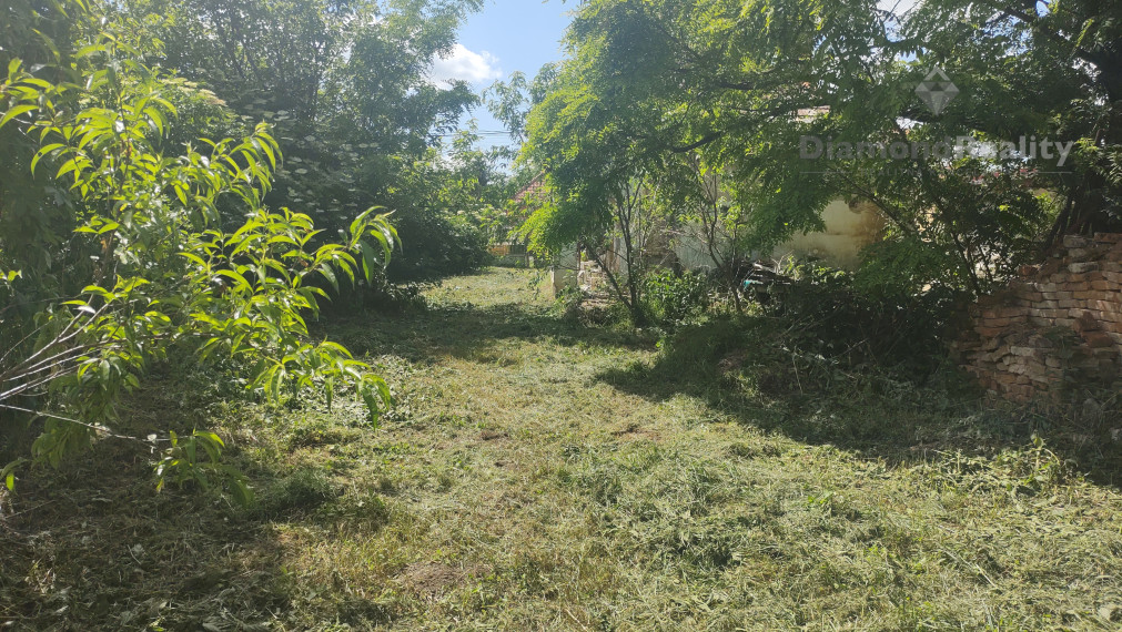 Na predaj rodinný dom s veľkým pozemkom Lúčnica nad Žitavou - Vajka