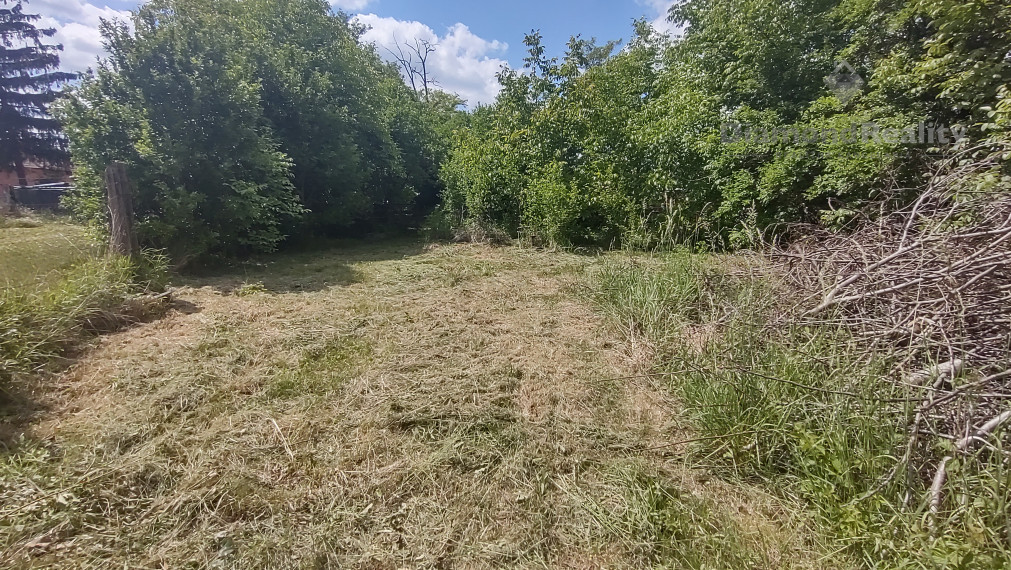 Na predaj rodinný dom s veľkým pozemkom Lúčnica nad Žitavou - Vajka