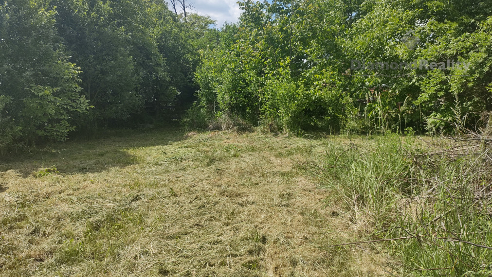 Na predaj rodinný dom s veľkým pozemkom Lúčnica nad Žitavou - Vajka