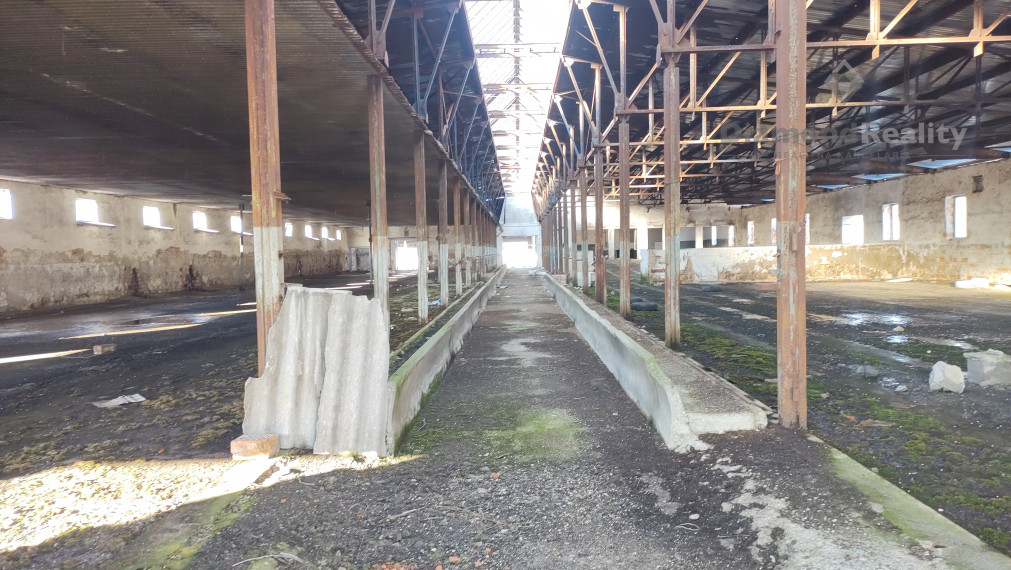 Na prenájom skladové priestory, prípadne výrobné priestory Cabaj-Čápor pri Nitre