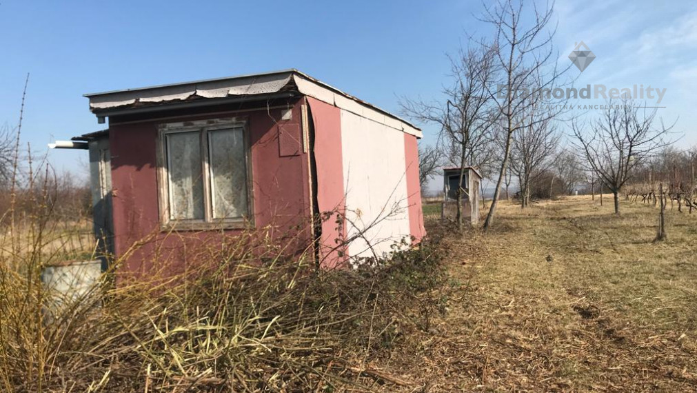 Na predaj vinohrad Branč s 18 árovým pozemkom
