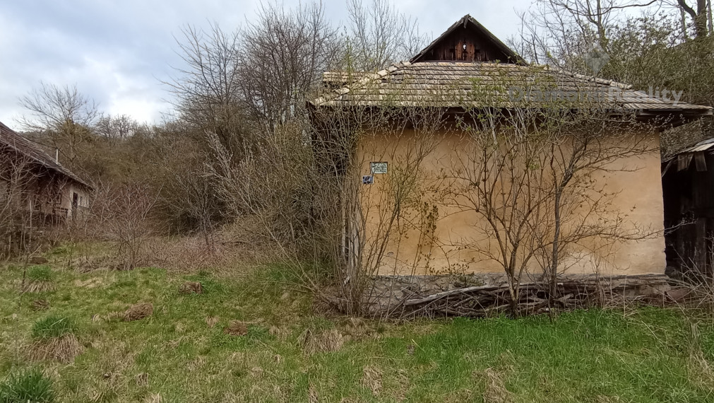 Ponúkam na predaj starší rodinný dom s veľkým pozemkom Hrušov