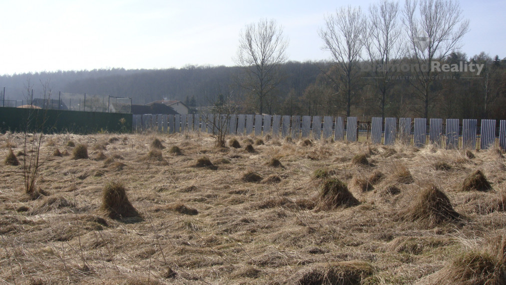 NA PREDAJ INVESTIČNÝ POZEMOK V OBCI PAŇOVCE | 6161m²