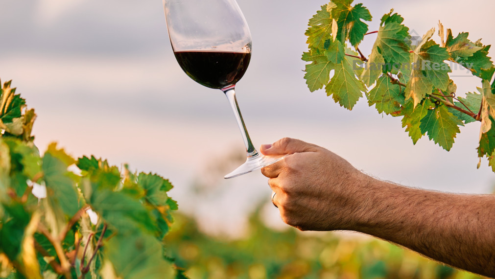 Na predaj pozemok na výstavbu aj dvoch viničných domčekov alebo aj na trvalé bývanie v Čechynciach v blízkosti cyklotrasy