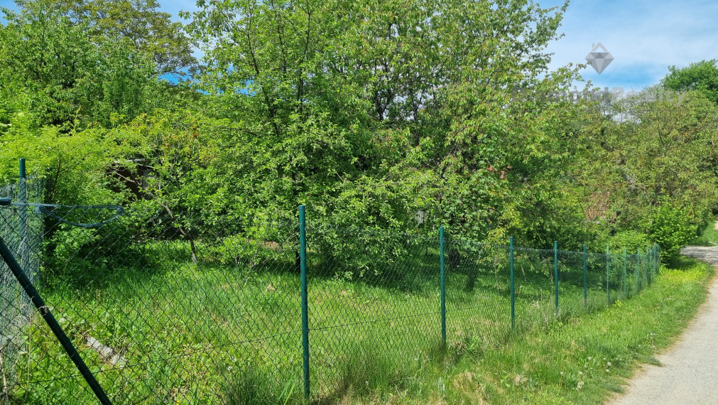 PREDANÉ - Na predaj záhrada