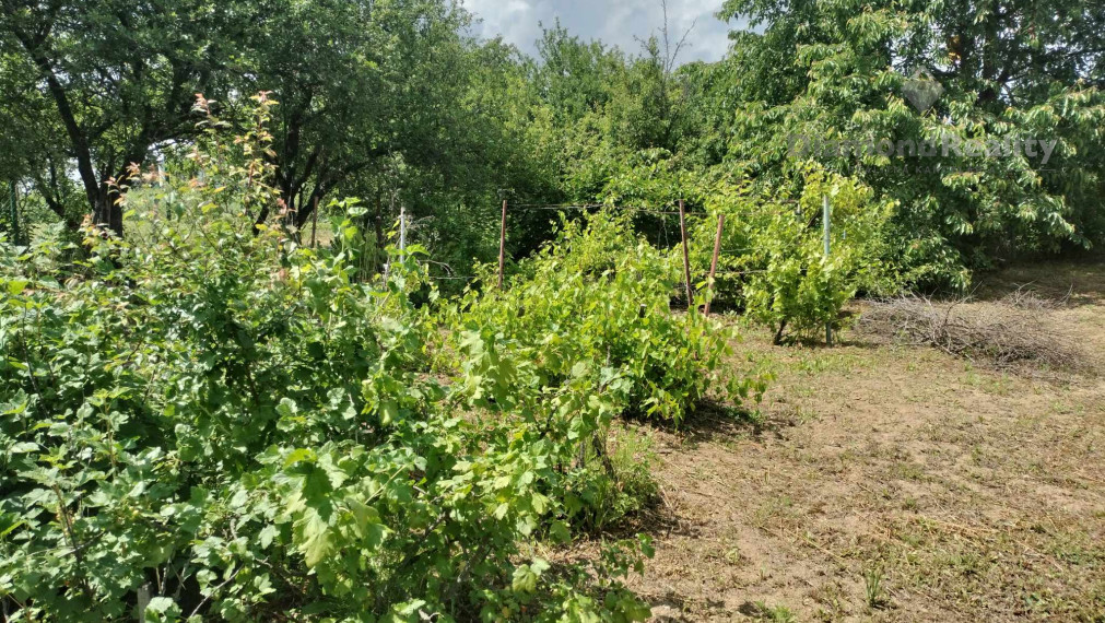 Predaj krásnej rovinatej záhrady s ovocnými stromami.