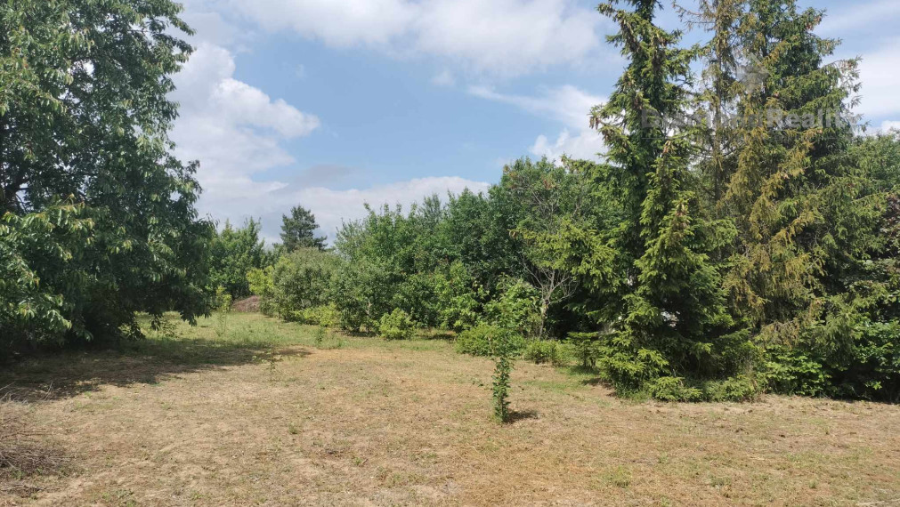 Predaj krásnej rovinatej záhrady s ovocnými stromami.