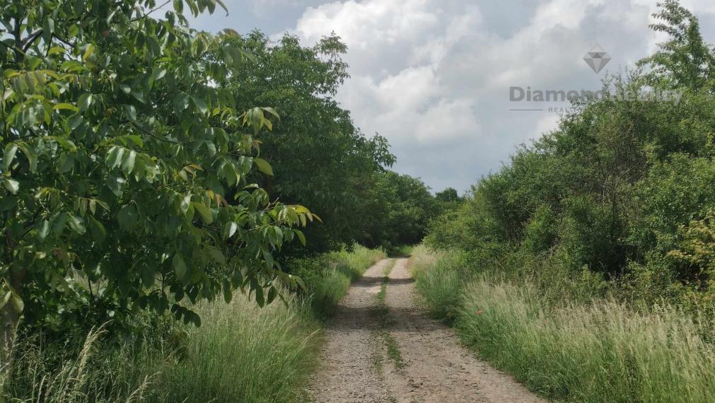 Predaj krásnej rovinatej záhrady s ovocnými stromami.