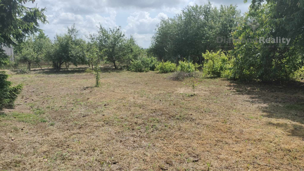 Predaj krásnej rovinatej záhrady s ovocnými stromami.