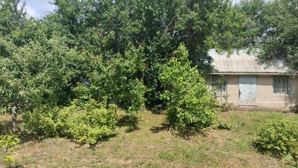 Predaj krásnej rovinatej záhrady s ovocnými stromami.