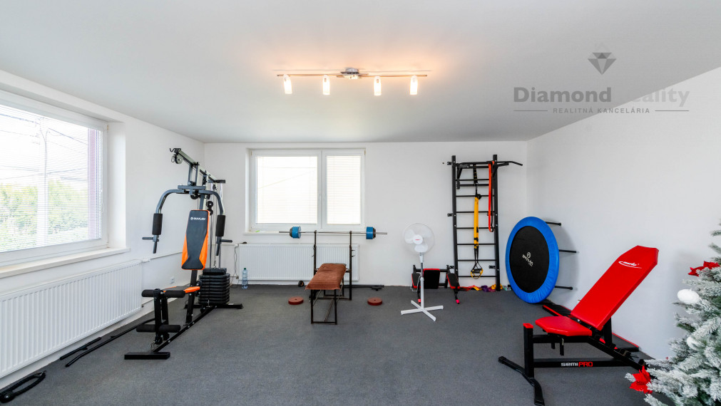 Na predaj dvojpodlažný RD po modernej rekonštrukcii, veľký pozemok (2588m2), obec Ruskov - KE okolie.