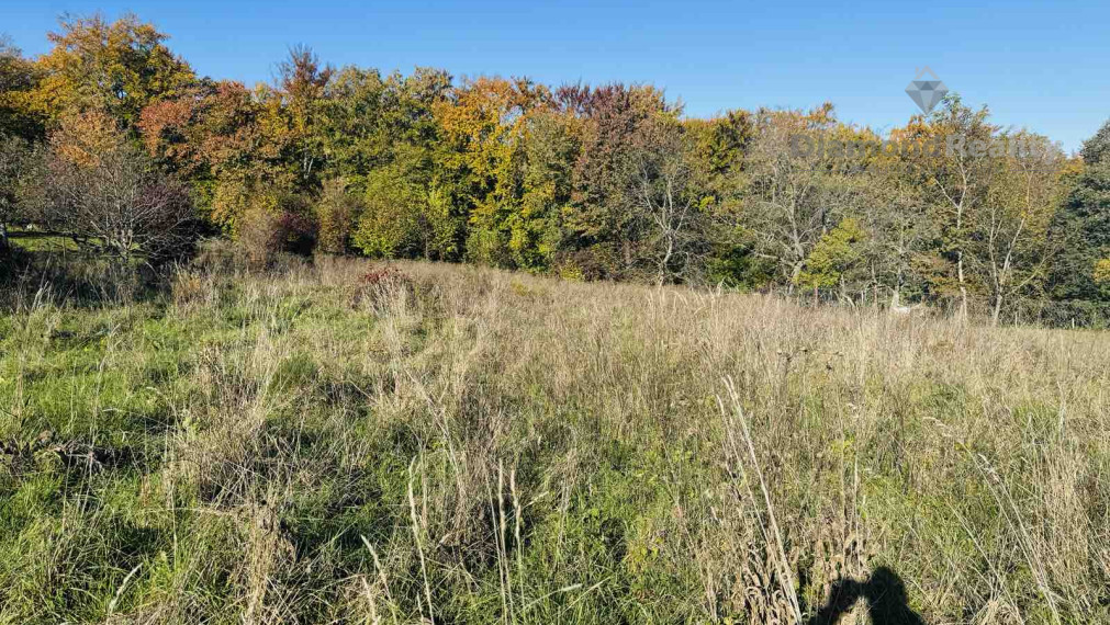 Slanec - Na predaj rovinatý pozemok (12árov) na výstavbu RD, v intraviláne obce obklopený prírodou – obec Nový Salaš, 5 min. od obce Slanec.