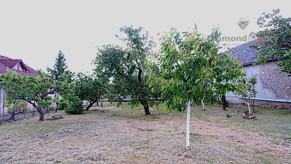 Rovinatý a slnečný pozemok v pokojnej obci Kašov
