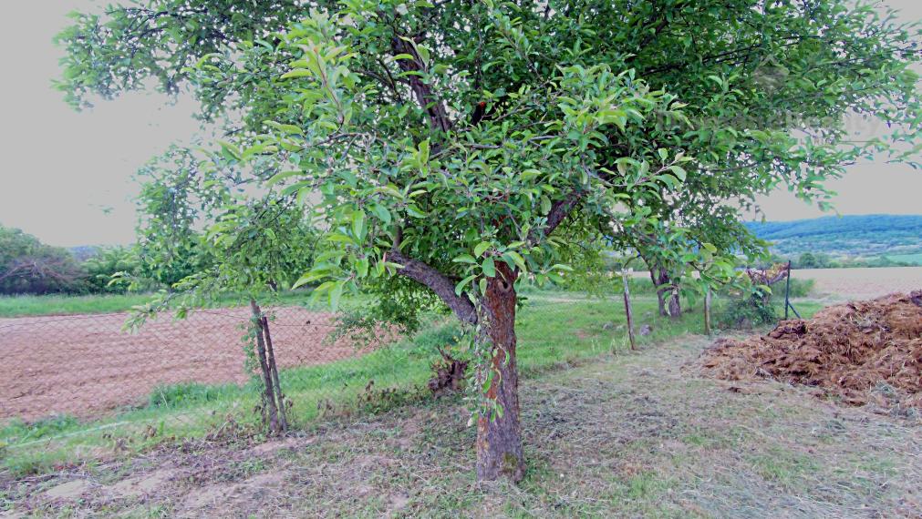 Rovinatý a slnečný pozemok v pokojnej obci Kašov