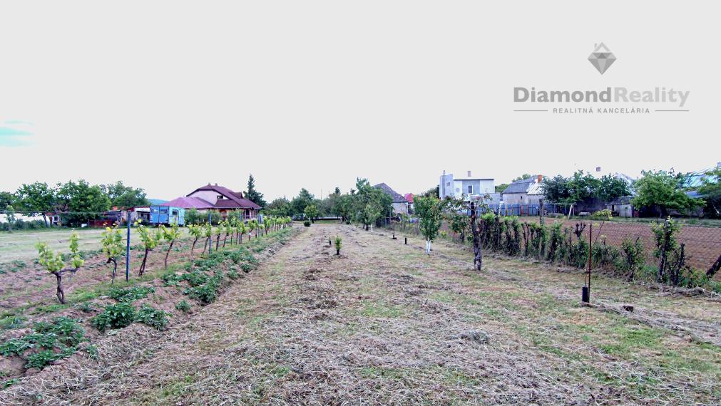 Rovinatý a slnečný pozemok v pokojnej obci Kašov