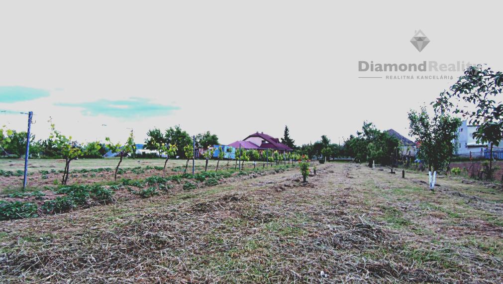 Rovinatý a slnečný pozemok v pokojnej obci Kašov