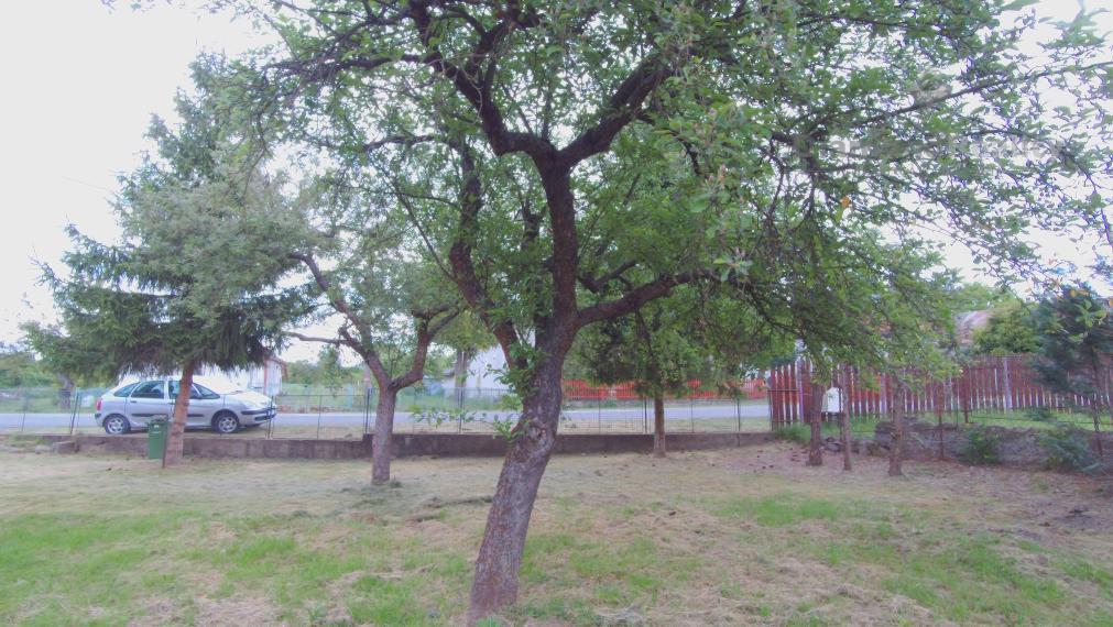 Rovinatý a slnečný pozemok v pokojnej obci Kašov