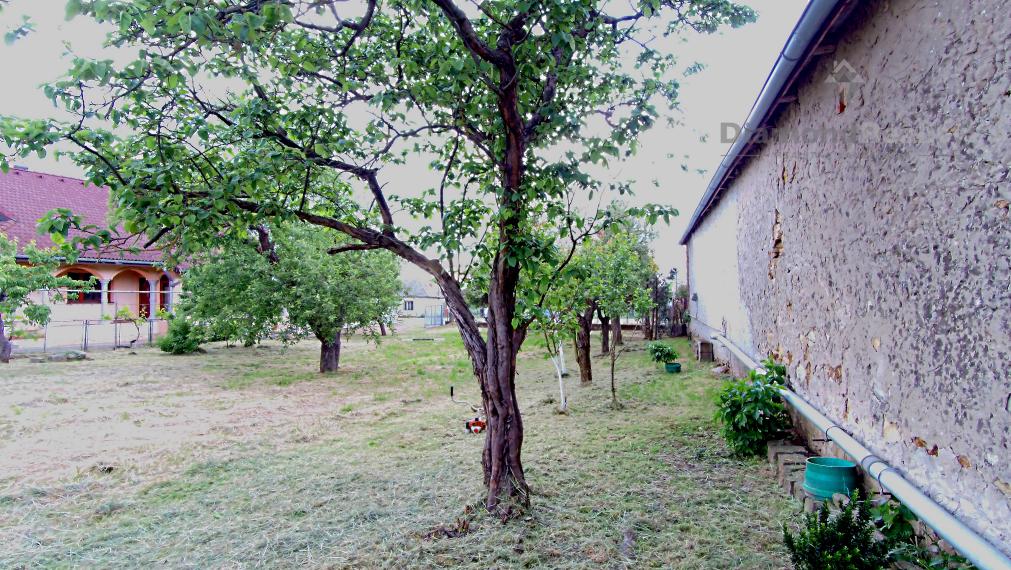 Rovinatý a slnečný pozemok v pokojnej obci Kašov