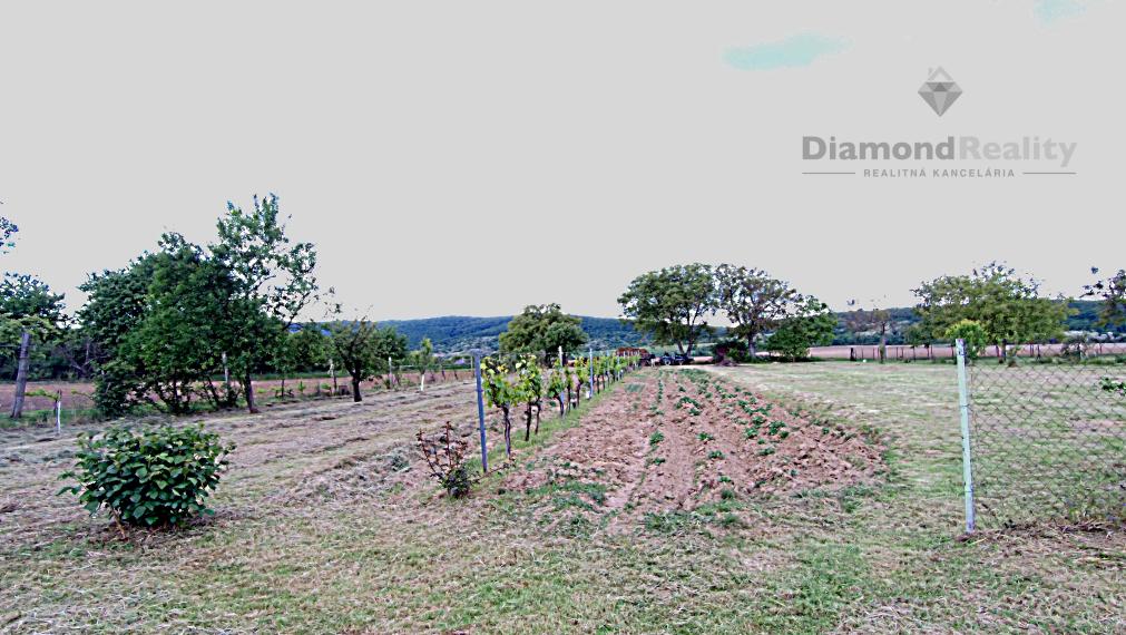 Rovinatý a slnečný pozemok v pokojnej obci Kašov