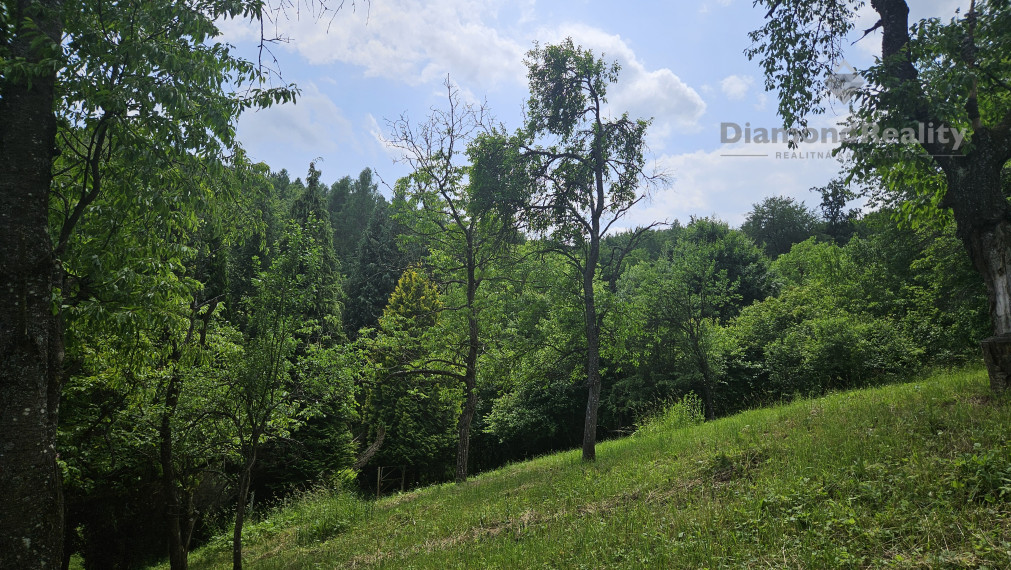Na predaj stavebný pozemok v lese a napriek tomu len 10 minút autom od centra mesta