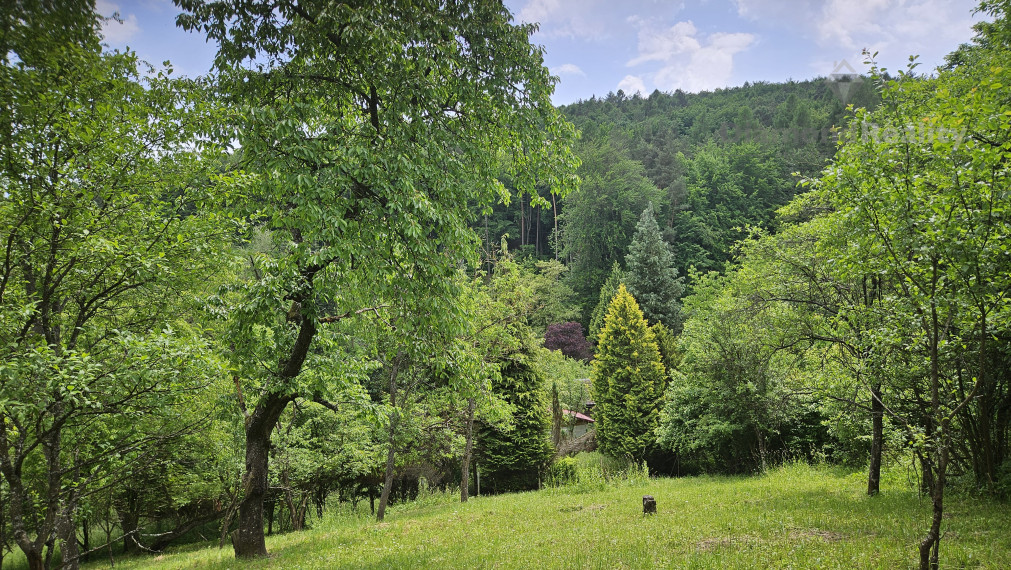 Na predaj stavebný pozemok v lese a napriek tomu len 10 minút autom od centra mesta