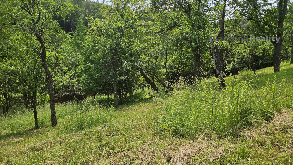 Na predaj stavebný pozemok v lese a napriek tomu len 10 minút autom od centra mesta