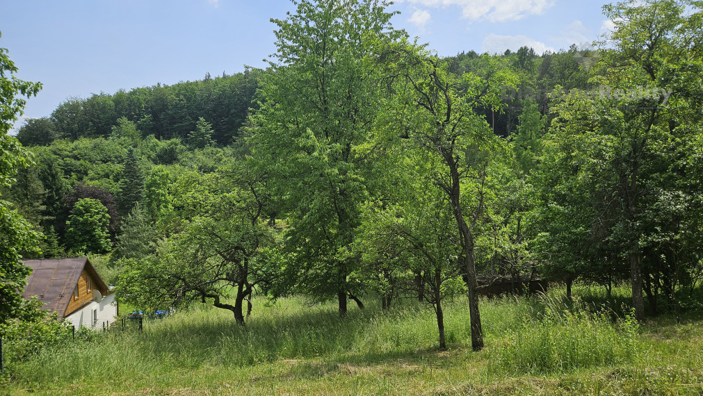 Na predaj stavebný pozemok v lese a napriek tomu len 10 minút autom od centra mesta