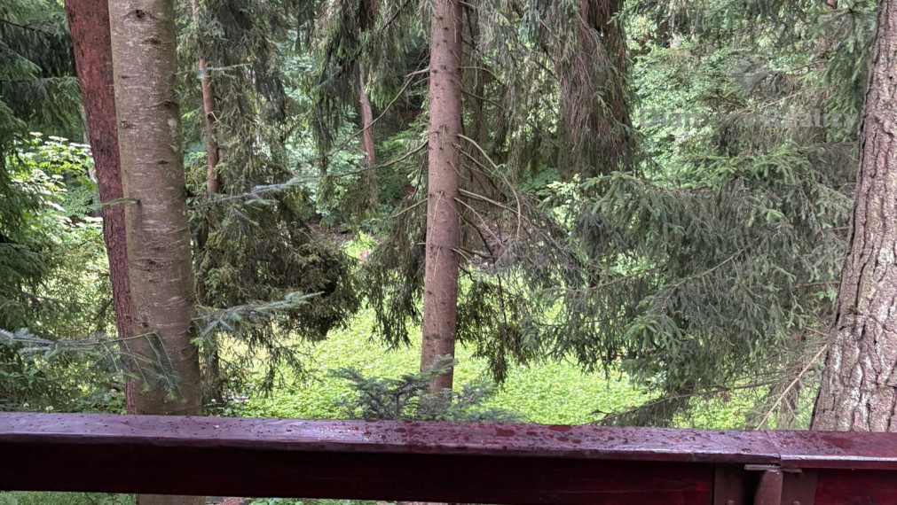 Na predaj murovaná chata v prírode s veľkým pozemkom (1647m2), obec Kokošovce – blízko rekr. oblasti Sigord, okres Prešov, vzdialená od Košíc 35km.