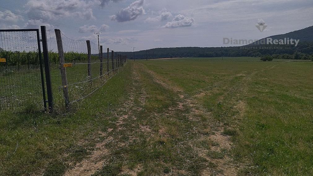 Na predaj budúci stavebný pozemok, pri Trnave, Lošonec