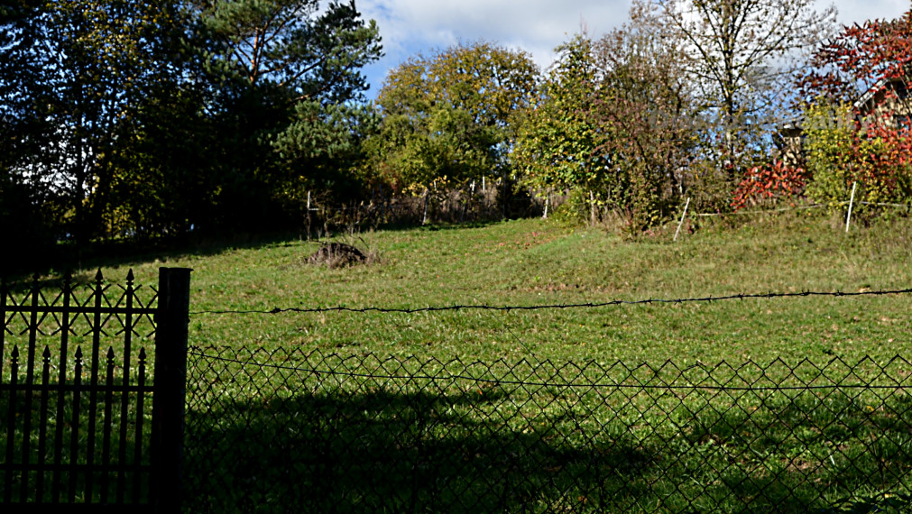 Stavebný, oplotený a slnečný pozemok s vinicou v obci Janík